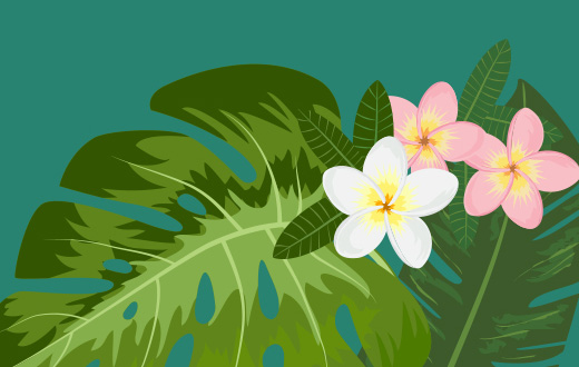 ˹ά˹9888(й)¹ٷվ